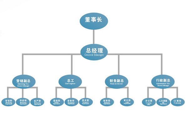 公司组织结构图